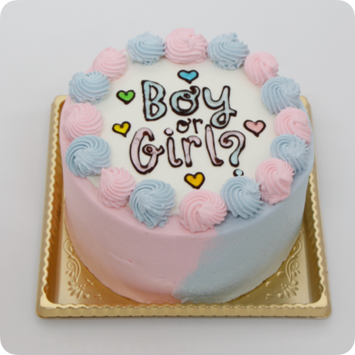 ジェンダーリビールケーキ【9号・27cm／15~20人様用】